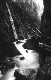 wimmbachklamm